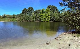 Schwanennest Am Haddorfer See * Top Ausstattung